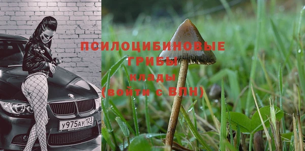 винт Краснослободск